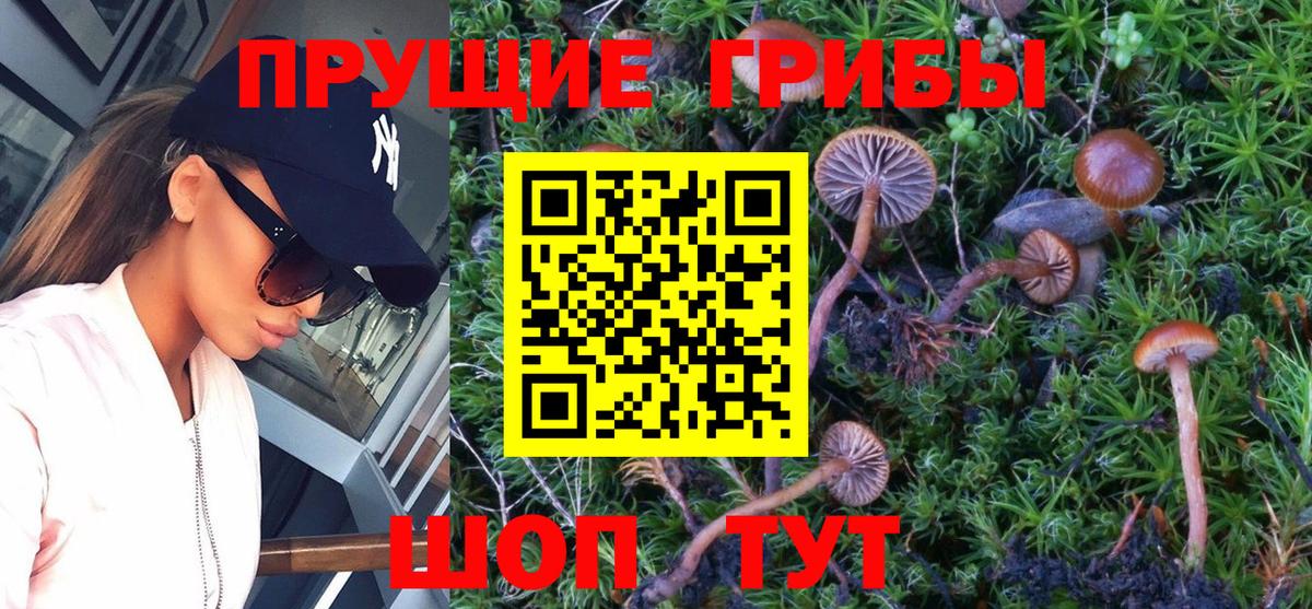 Галлюциногенные грибы MAGIC MUSHROOMS  Вход с VPN  Рязань  Галлюциногенные грибы прущие грибы 
