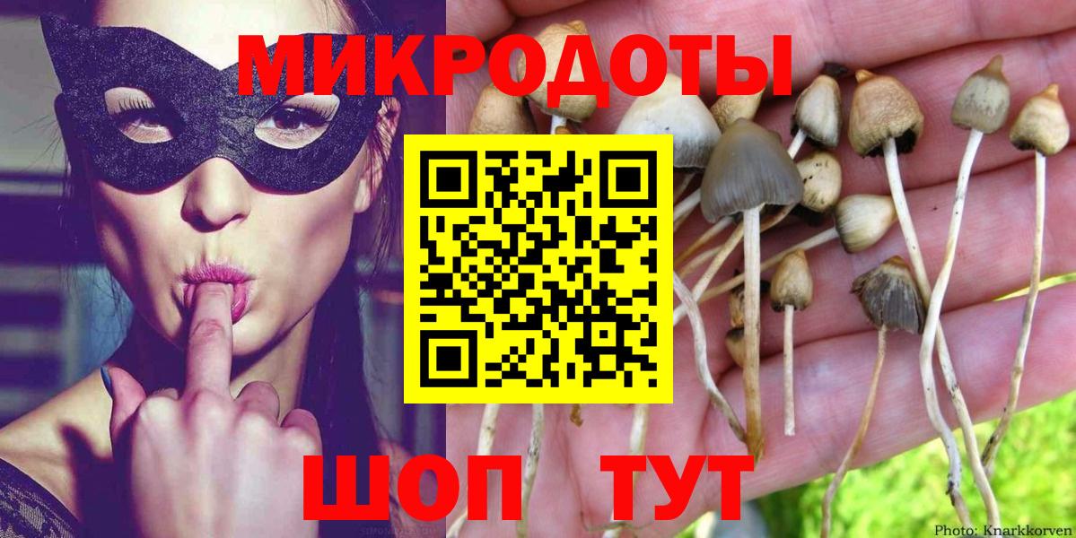 Псилоцибиновые грибы Psilocybine cubensis Рязань